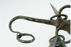 Foto von Bronzeachsnagel (NHMW-PRAE-025272)